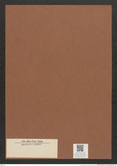 Diatomeae indet. Zeichnungen Sammlung Grunow Mappe 03115 (Herbarium_W_Grunow_drawings_Folder_03115)